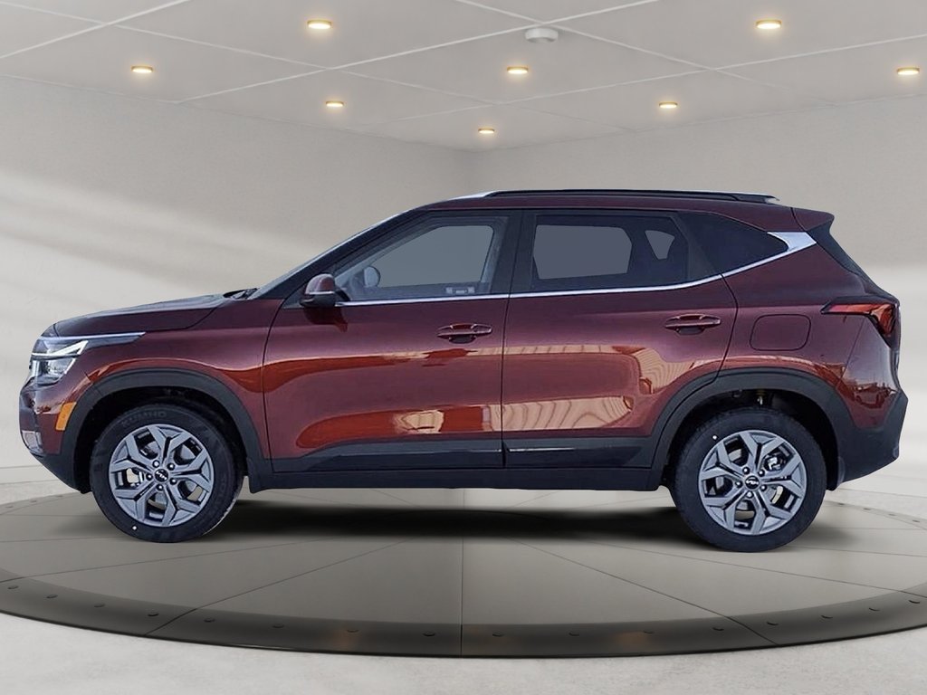 2025 Kia Seltos EX-4