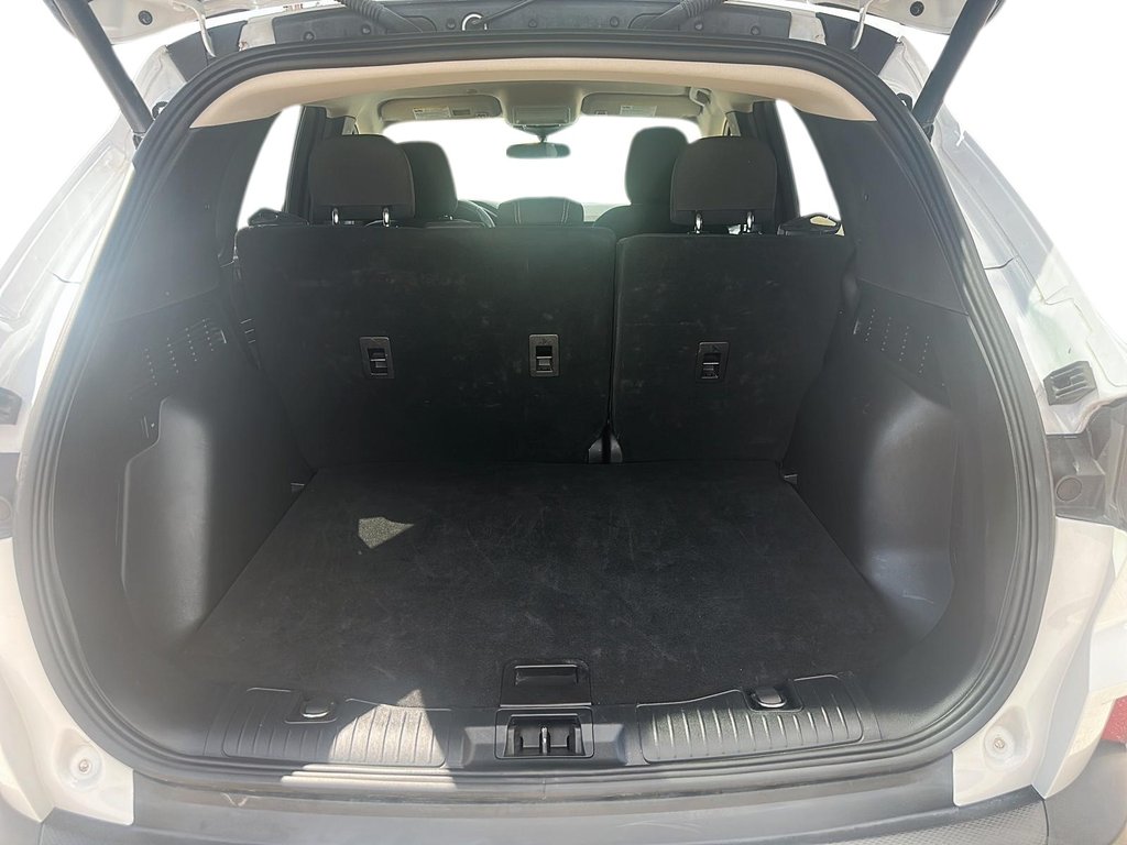 2023 Ford Escape Active - AWD in Stratford, Ontario - 6 - w1024h768px