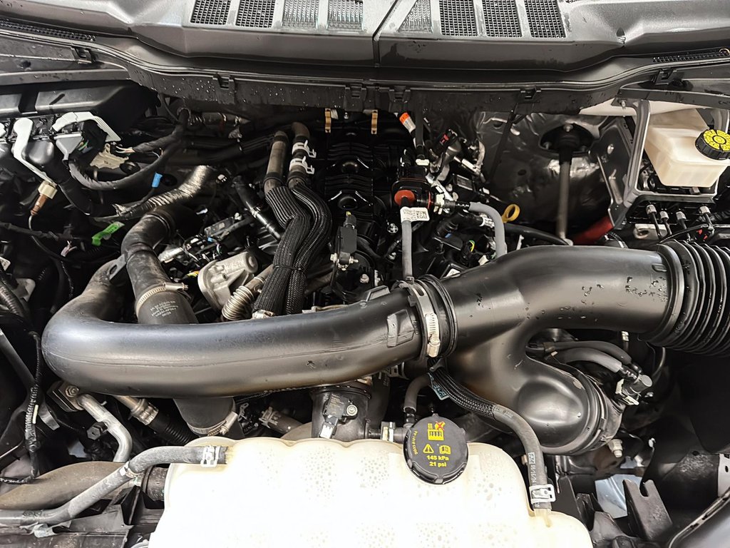 2024 Ford F-150 4x4 SuperCrew XLT - 157 WB in Stratford, Ontario - 6 - w1024h768px