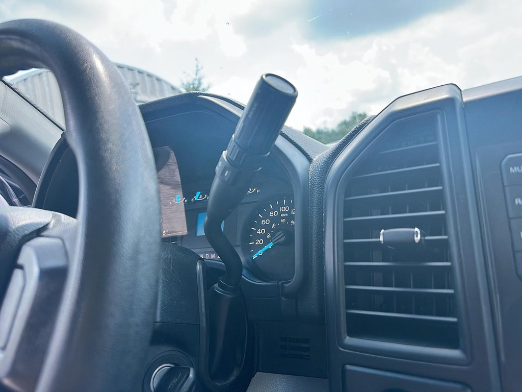 2019 Ford F150 4x2 - Regular Cab XL - 141 WB in Stratford, Ontario - 13 - w1024h768px