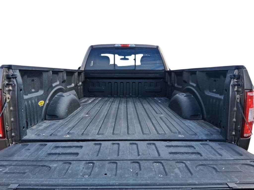 2020 Ford F150 4x4 - Regular Cab XLT - 141 WB in Stratford, Ontario - 19 - w1024h768px