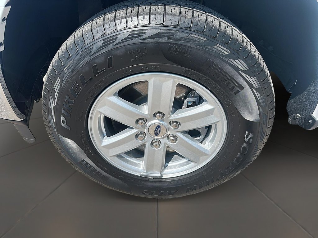 2023 Ford F150 4x4 - Supercab XLT - 145 WB in Stratford, Ontario - 6 - w1024h768px