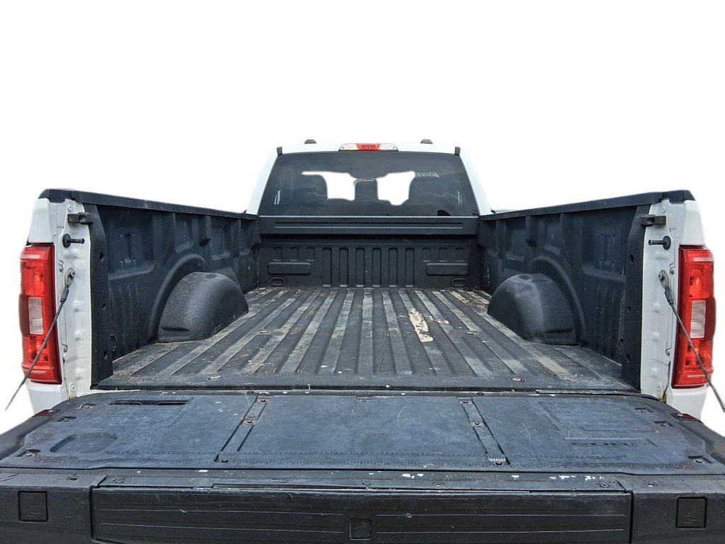 2023 Ford F150 4x4 - Regular Cab XLT - 141 WB in Stratford, Ontario - 19 - w1024h768px
