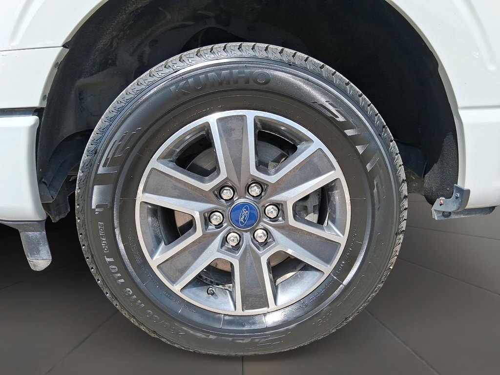 2023 Ford F150 4x2 - Supercrew XLT - 145 WB in Stratford, Ontario - 7 - w1024h768px