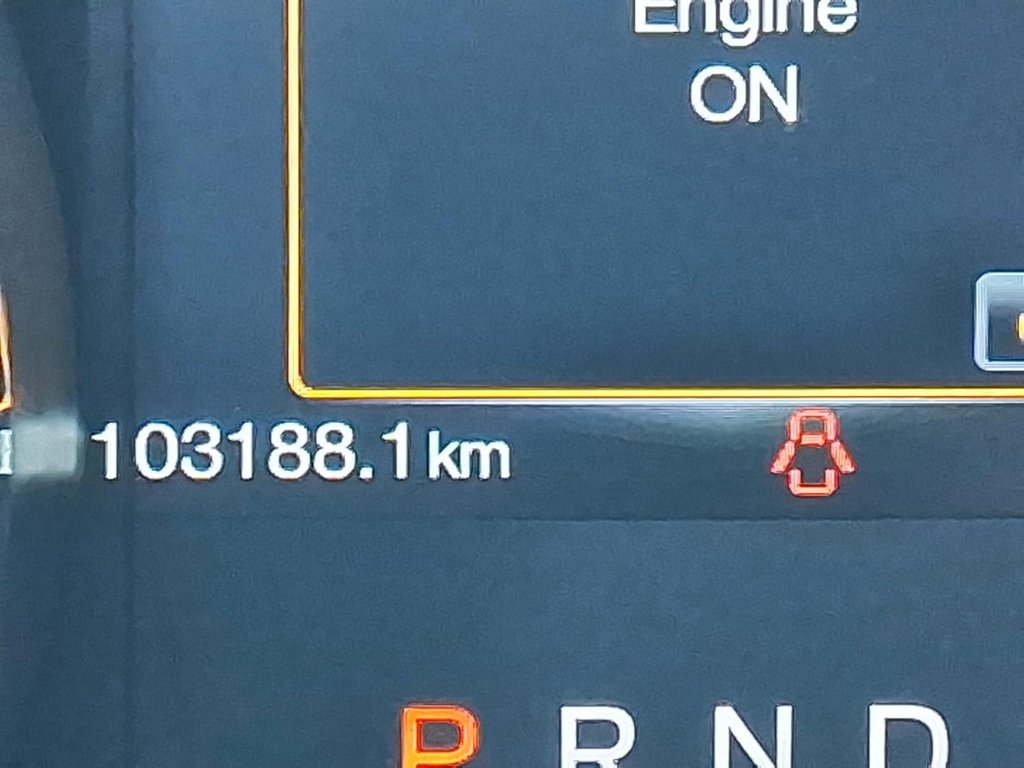 2016 Ford Mustang Coupe V6 in Stratford, Ontario - 12 - w1024h768px
