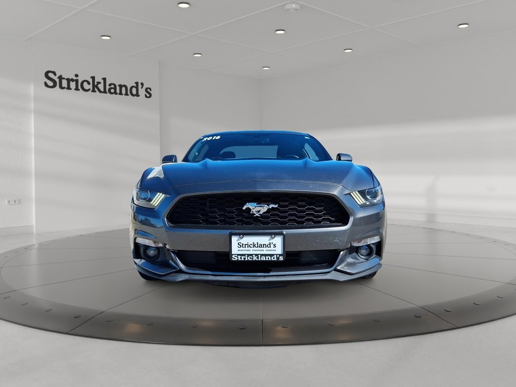 2016 Ford Mustang Coupe V6 in Stratford, Ontario - 2 - w1024h768px