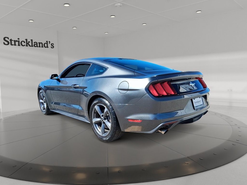 2016 Ford Mustang Coupe V6 in Stratford, Ontario - 4 - w1024h768px