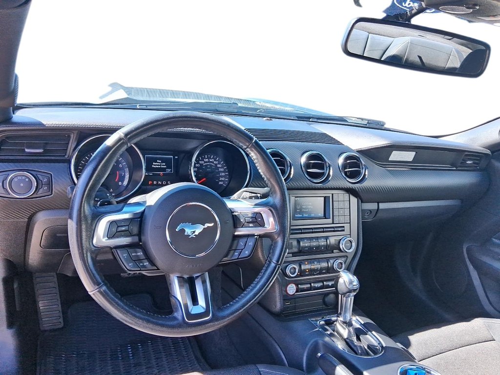 2016 Ford Mustang Coupe V6 in Stratford, Ontario - 9 - w1024h768px