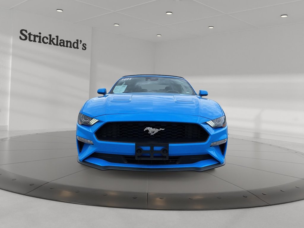 2023  Mustang Convertible Ecoboost Premium in Stratford, Ontario - 5 - w1024h768px