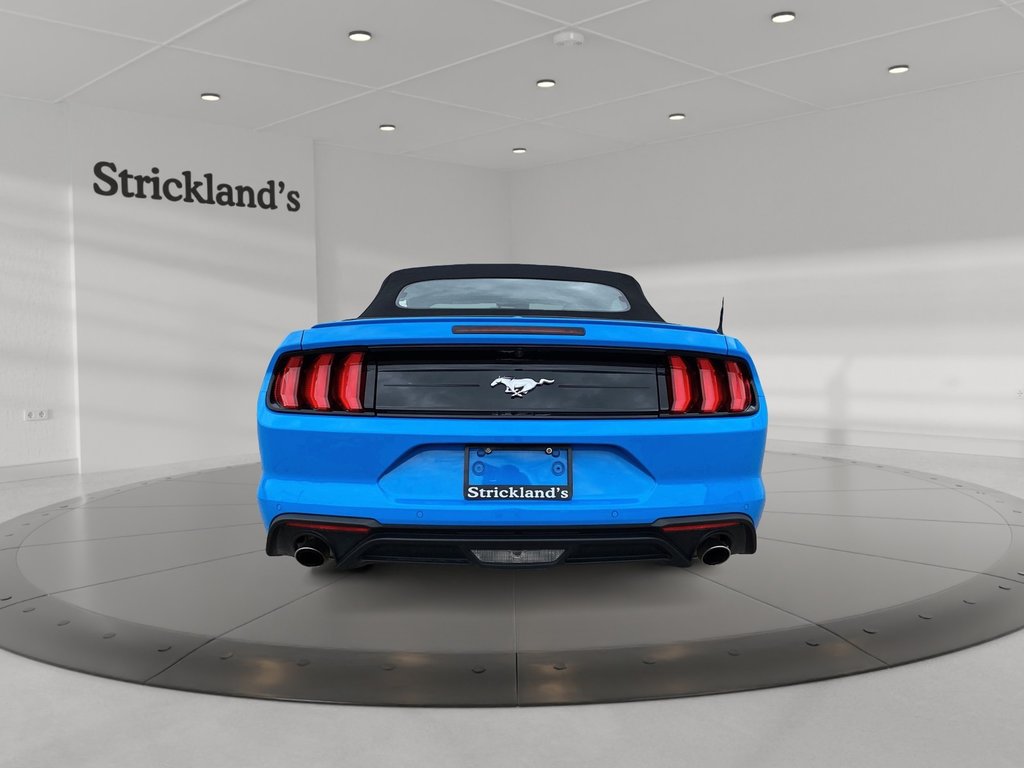 2023  Mustang Convertible Ecoboost Premium in Stratford, Ontario - 6 - w1024h768px