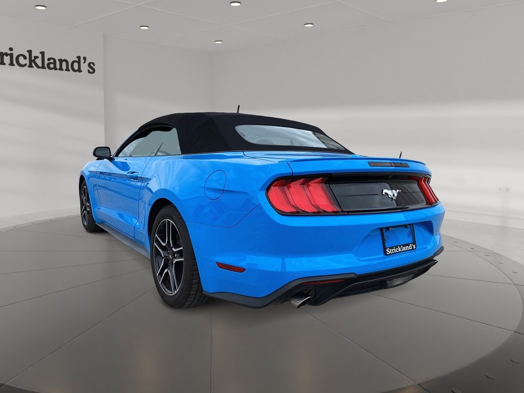2023  Mustang Convertible Ecoboost Premium in Stratford, Ontario - 7 - w1024h768px