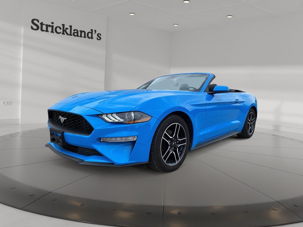2023  Mustang Convertible Ecoboost Premium in Stratford, Ontario - 1 - w1024h768px