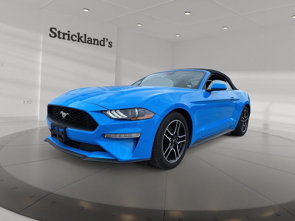 2023  Mustang Convertible Ecoboost Premium in Stratford, Ontario - 4 - w1024h768px