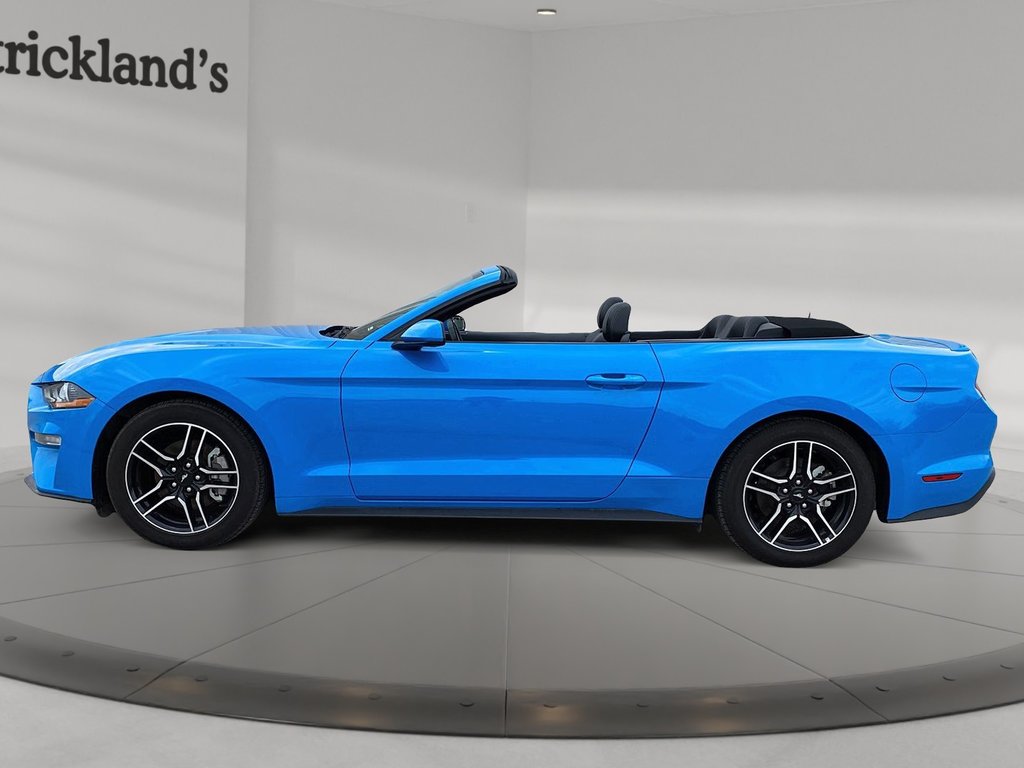 2023  Mustang Convertible Ecoboost Premium in Stratford, Ontario - 2 - w1024h768px