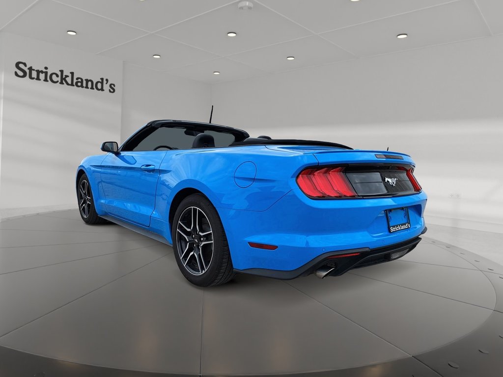 2023  Mustang Convertible Ecoboost Premium in Stratford, Ontario - 3 - w1024h768px