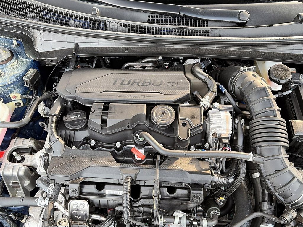 2025 Hyundai Elantra N Line Ultimate DCT in Stratford, Ontario - 7 - w1024h768px