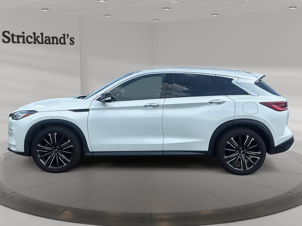 2022 Infiniti QX50 LUXE I-LINE AWD in Stratford, Ontario - 5 - w1024h768px