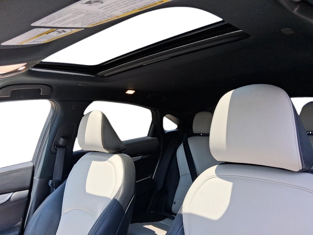 2023 Infiniti QX55 Essential in Stratford, Ontario - 17 - w1024h768px