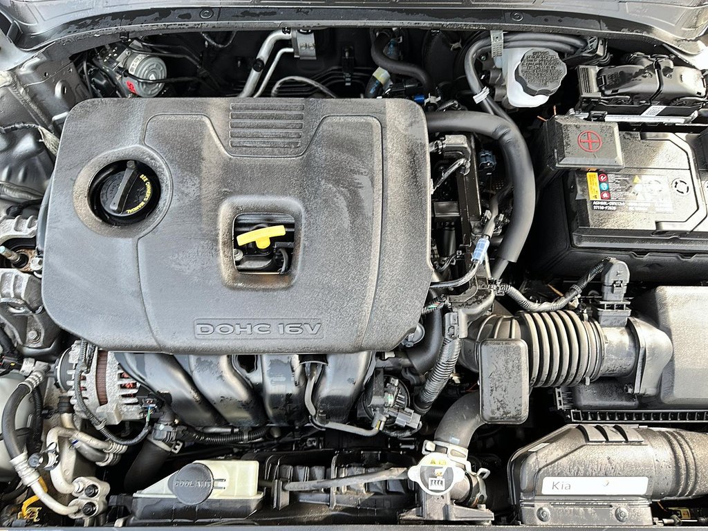 2023 Kia Forte (5) EX IVT in Stratford, Ontario - 7 - w1024h768px