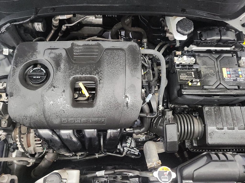 2024 Kia Seltos EX AWD in Stratford, Ontario - 7 - w1024h768px