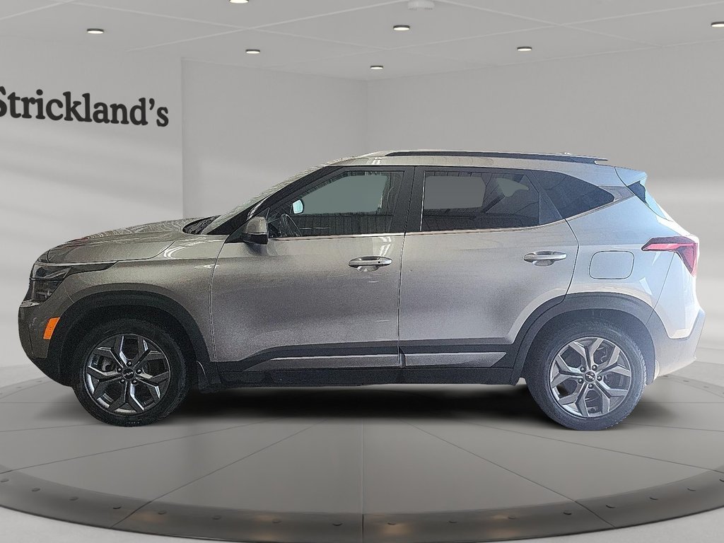 2024 Kia Seltos EX AWD in Stratford, Ontario - 5 - w1024h768px