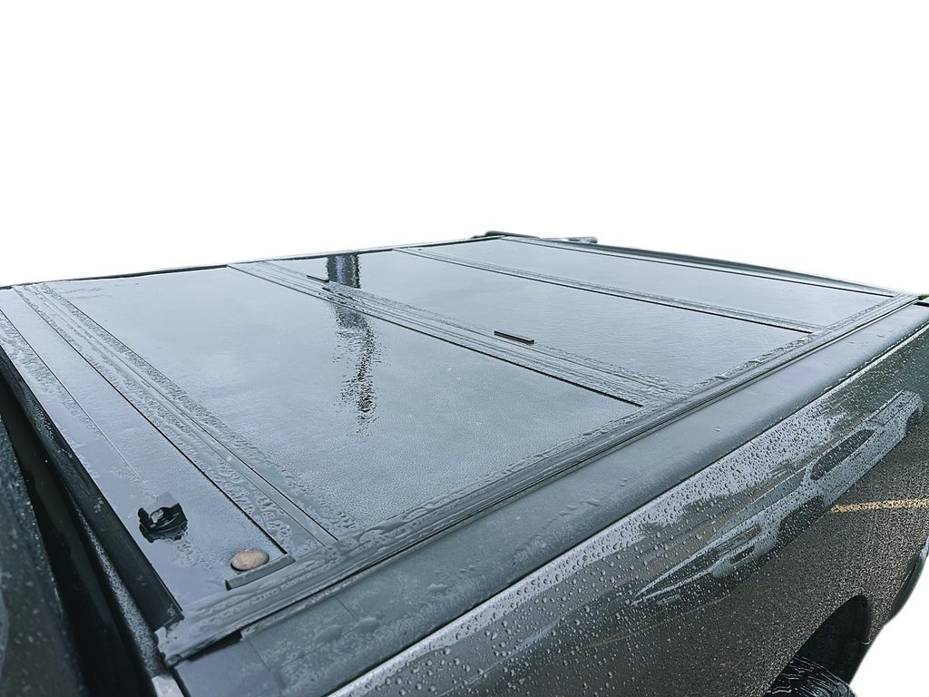 2019 Ram RAM 1500 Reg Cab 4x2 (DS) ST (120.5 WB 6'4 Box) in Stratford, Ontario - 15 - w1024h768px