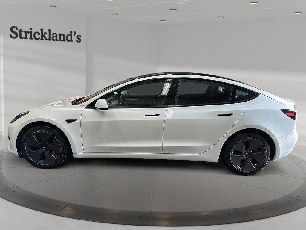 2023 Tesla MODEL 3 Long Range AWD in Stratford, Ontario - 5 - w1024h768px
