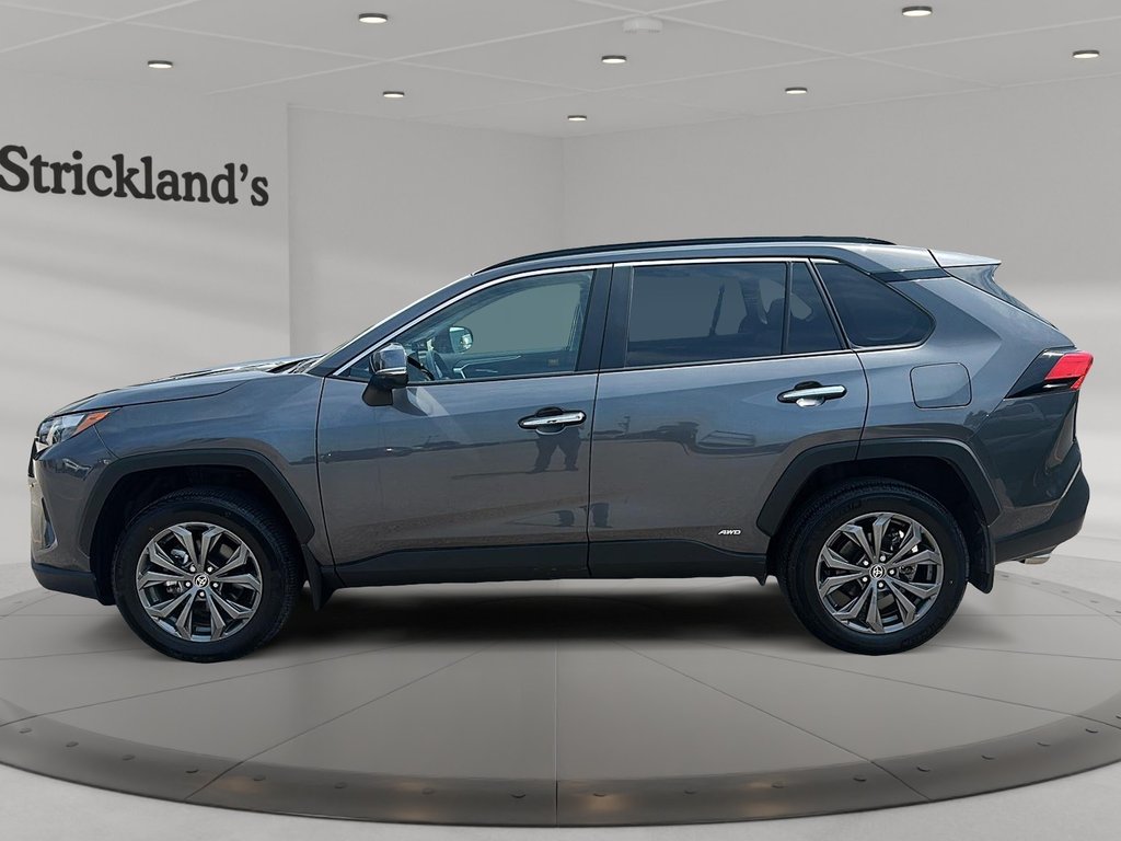 2025 Toyota RAV4 Hybrid Limited AWD in Stratford, Ontario - 5 - w1024h768px