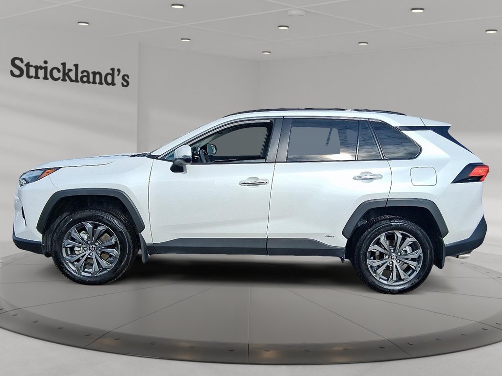 2025 Toyota RAV4 Hybrid Limited AWD in Stratford, Ontario - 5 - w1024h768px