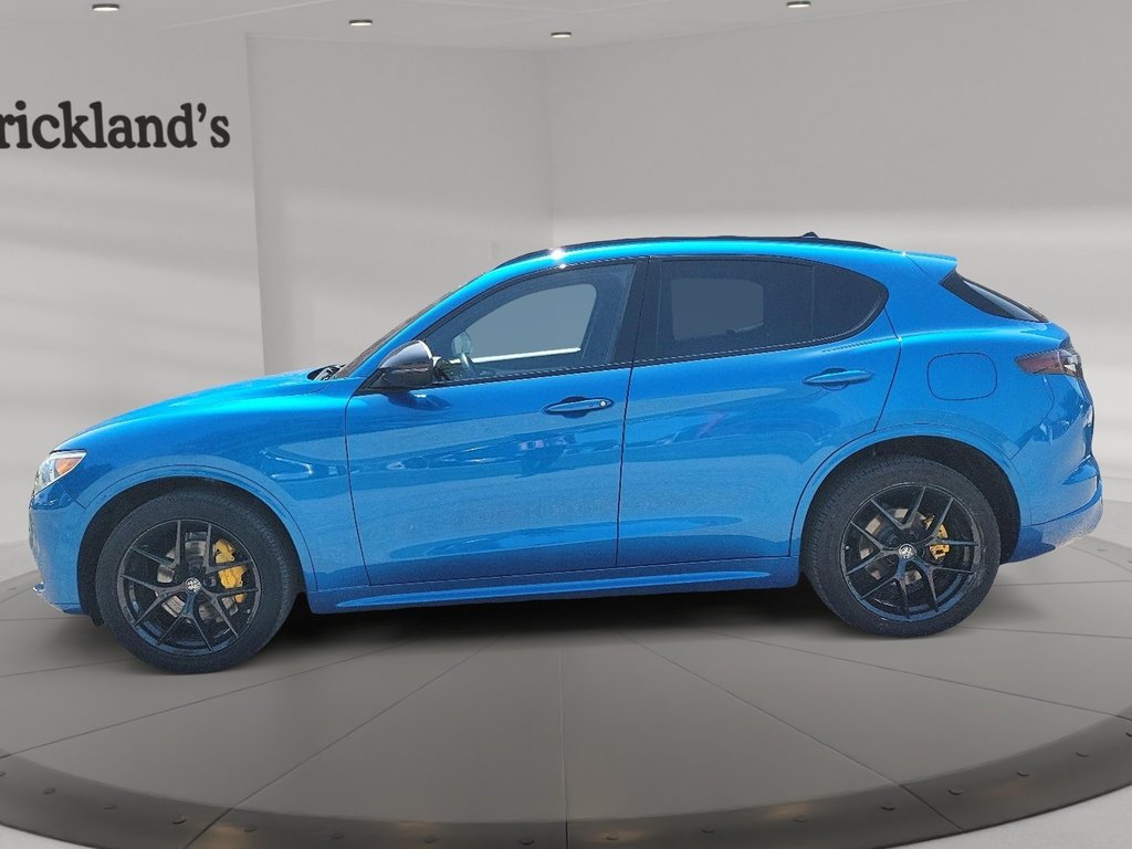 2021 Alfa Romeo Stelvio Ti AWD in Brantford, Ontario - 5 - w1024h768px