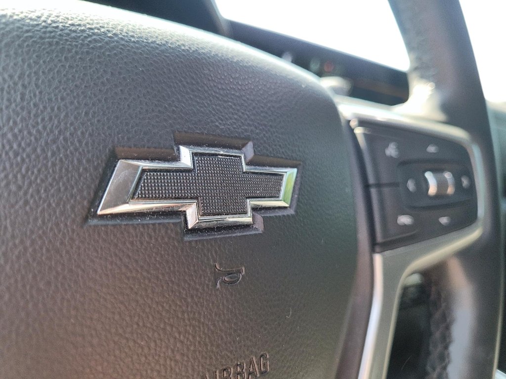 2024 Chevrolet Silverado 1500 Crew Cab Short Box 4-Wheel Drive LT Trail Boss in Brantford, Ontario - 20 - w1024h768px