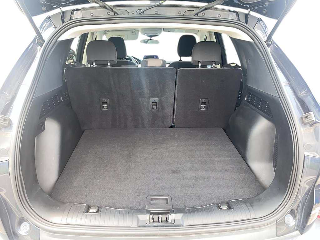 2021 Ford Escape SE PHEV FWD in Stratford, Ontario - 6 - w1024h768px