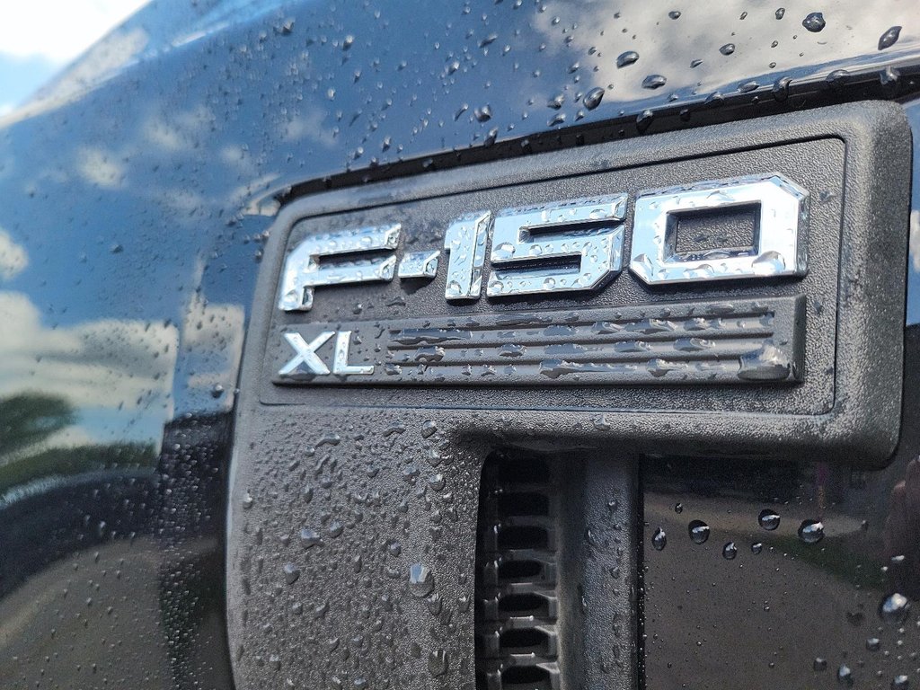2022 Ford F150 4x2 - Regular Cab XL - 141 WB in Brantford, Ontario - 6 - w1024h768px