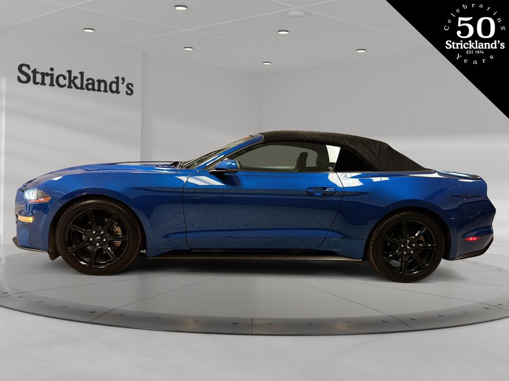 2018  Mustang Convertible Ecoboost Premium in Brantford, Ontario - 8 - w1024h768px