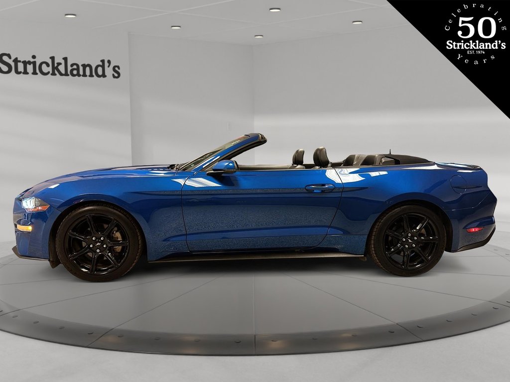 2018  Mustang Convertible Ecoboost Premium in Brantford, Ontario - 2 - w1024h768px