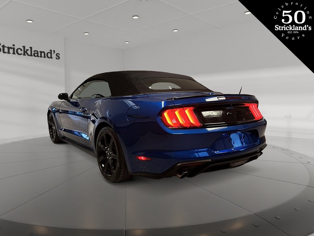 2018  Mustang Convertible Ecoboost Premium in Brantford, Ontario - 7 - w1024h768px