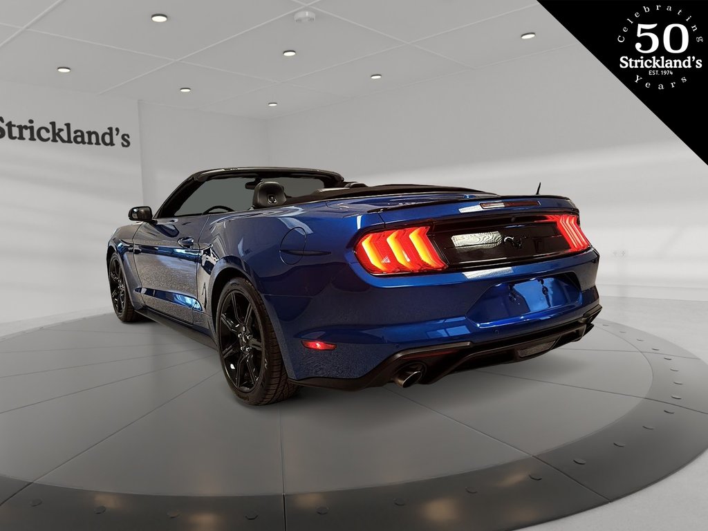 2018  Mustang Convertible Ecoboost Premium in Brantford, Ontario - 3 - w1024h768px