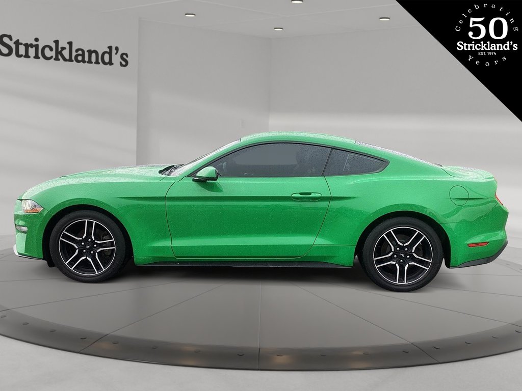 2019  Mustang Coupe Ecoboost in Brantford, Ontario - 5 - w1024h768px