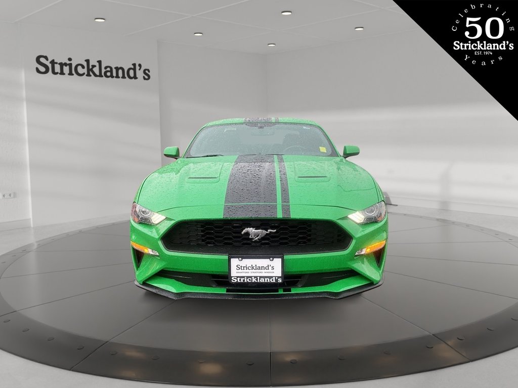 2019  Mustang Coupe Ecoboost in Brantford, Ontario - 2 - w1024h768px