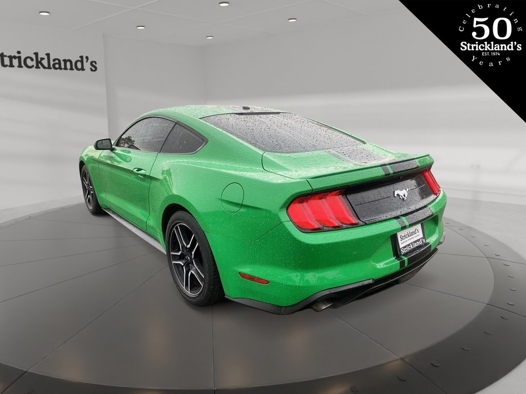 2019  Mustang Coupe Ecoboost in Brantford, Ontario - 4 - w1024h768px