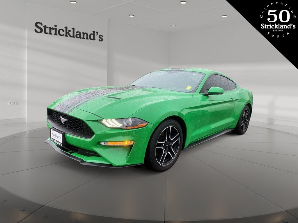 2019  Mustang Coupe Ecoboost in Brantford, Ontario - 1 - w1024h768px