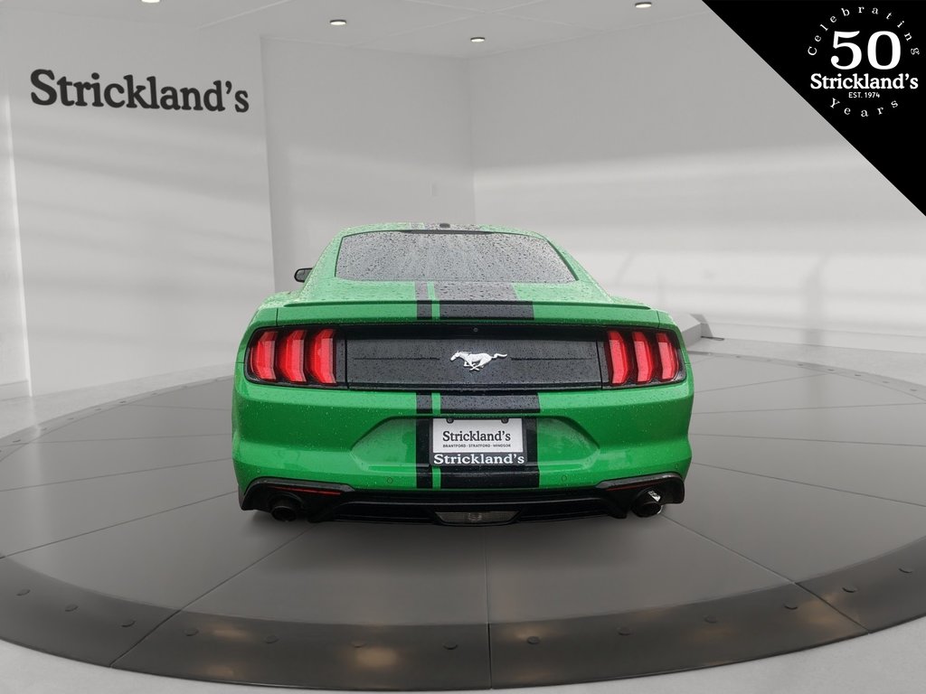 2019  Mustang Coupe Ecoboost in Brantford, Ontario - 3 - w1024h768px