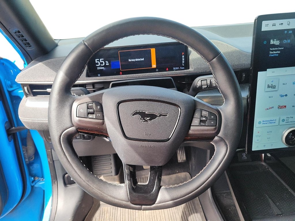 2022 Ford Mustang Mach-e GT AWD in Brantford, Ontario - 11 - w1024h768px
