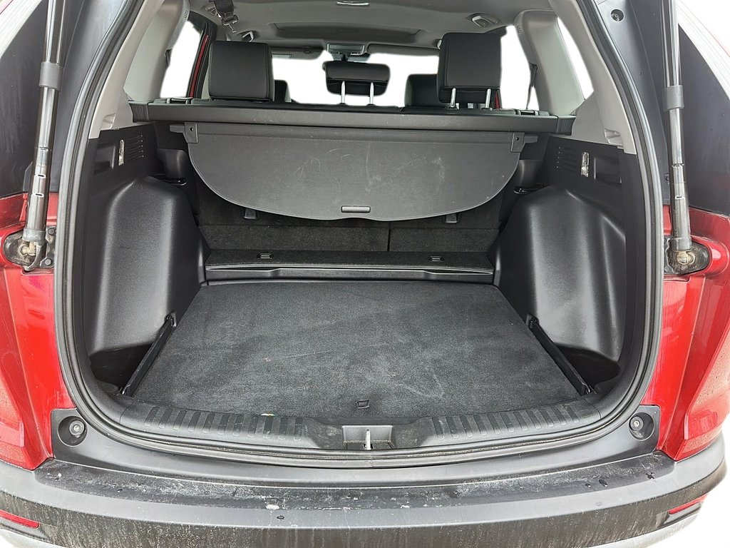 2019 Honda CR-V EX-L AWD CVT in Brantford, Ontario - 6 - w1024h768px