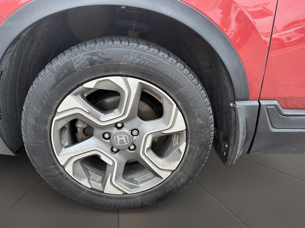 2019 Honda CR-V EX-L AWD CVT in Brantford, Ontario - 7 - w1024h768px