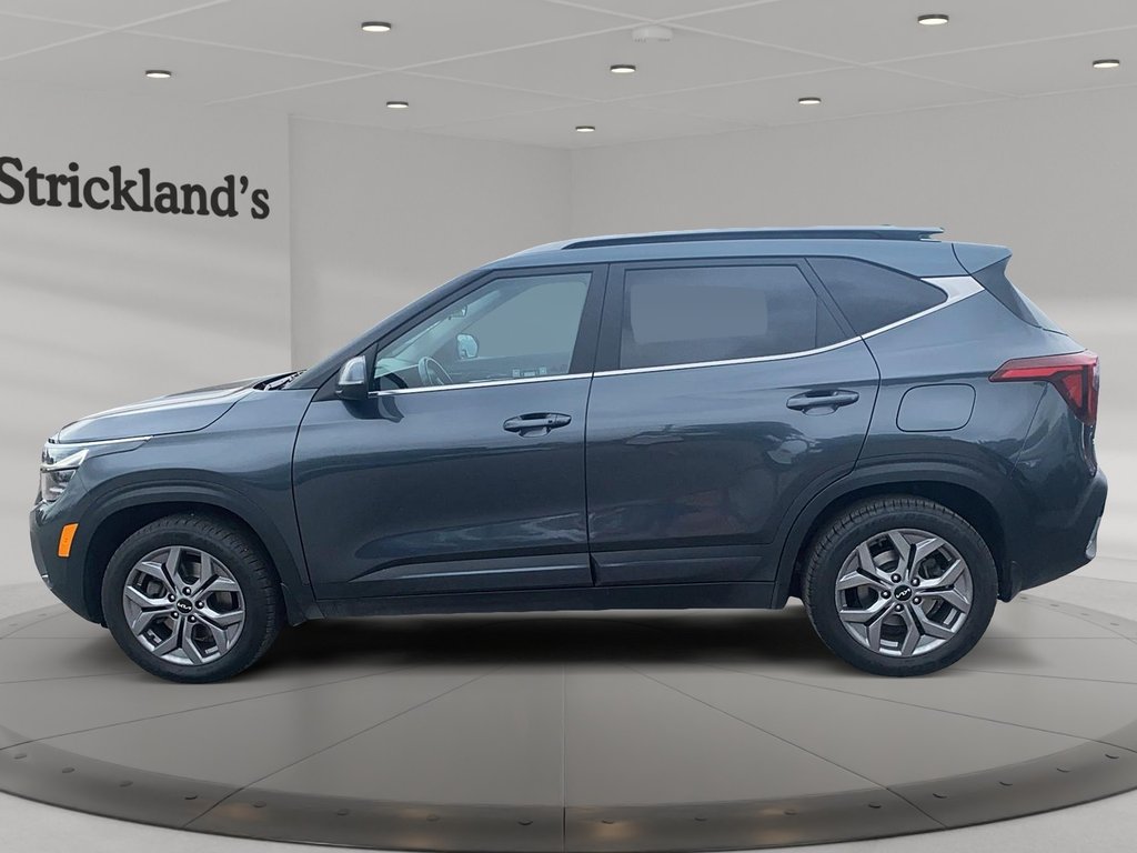 2024 Kia Seltos EX AWD in Stratford, Ontario - 5 - w1024h768px