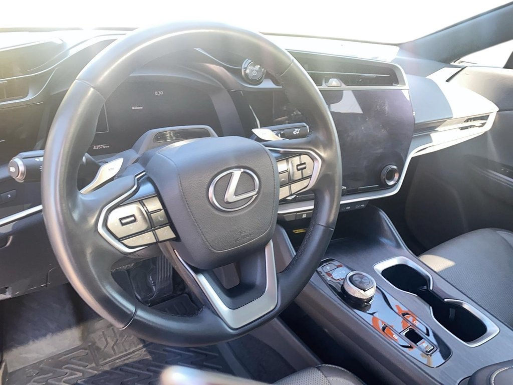 2023 Lexus RZ 450e in Brantford, Ontario - 9 - w1024h768px