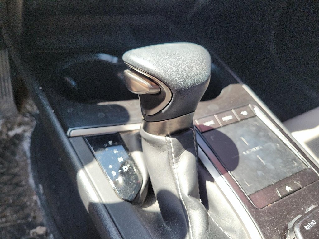 2021 Lexus UXh 250h AWD in Brantford, Ontario - 11 - w1024h768px