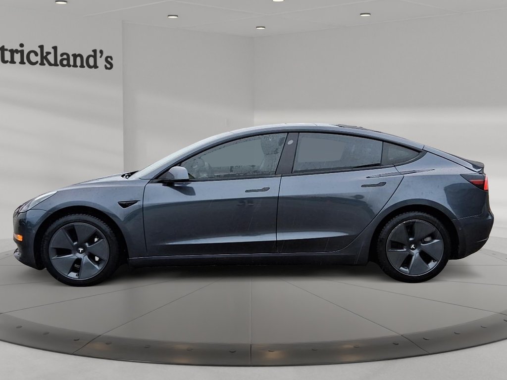 2021 Tesla Model 3 Standard Range Plus in Brantford, Ontario - 5 - w1024h768px