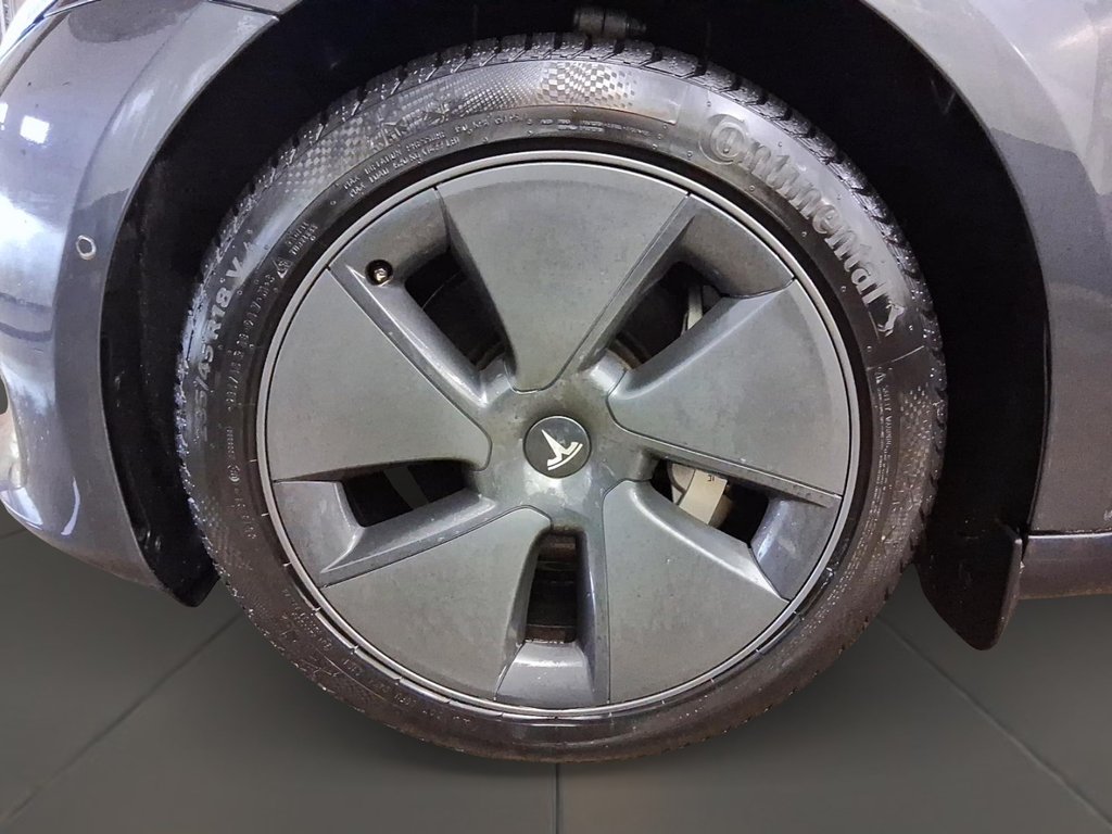 2021 Tesla Model 3 Standard Range Plus in Brantford, Ontario - 7 - w1024h768px